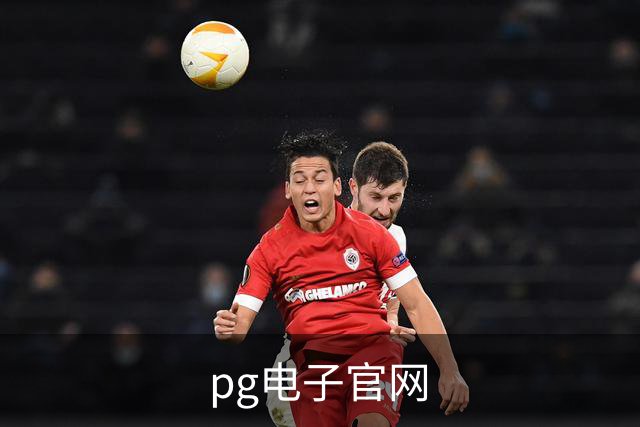 pg电子官网公司简介图片